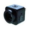 WAT-525EX黑白超低照度摄像机,WATEC