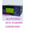 SWP-LCD-NLQ812热量积算无纸记录仪 昌晖 图片