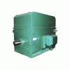 YTM、YHP、YMPS系列6KV磨煤机用电机——西安西玛电机（集团）股份有限公司
