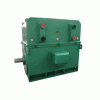 YKS系列(H355-1000)高压三相异步电机——西安西玛电机（集团）股份有限公司