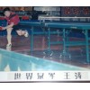 辽宁乒乓球台吉林乒乓球台黑龙江乒乓球台厂家报价