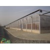 专业建造蔬菜温室大棚，温室工程，日光温室