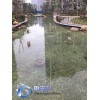 南京市景观鱼池水处理