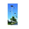 想买规模大的太阳能路灯，高亚灯饰是您的选择   张掖太阳能路灯