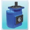 【加工定制优质齿轮泵】齿轮泵质优价廉 青州隆海液压件厂家供应
