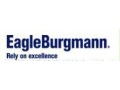 EagleBurgmann球阀价格及规格型号