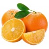 具有口碑的富硒脐橙批发市场推荐|富硒脐橙价格供应厂家