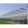 山东有品质的玻璃温室建设公司：智能连栋温室建造公司