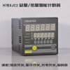 H7BXJC2-6E2R总量/批量型智能计数器