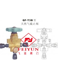 FY-QF-T3B型天然气截止阀