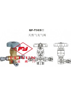 FY-QF-T3C5型天然气充气阀