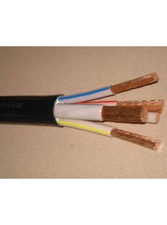 交联聚乙烯绝缘聚氯乙烯护套电力电缆/yjv电缆