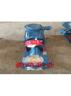 源鸿泵业供应RY20-20-125高温导热油泵，环保型耐腐蚀导热油泵