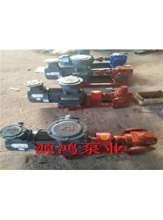 沧州源鸿泵业YCB0.6-0.6圆弧齿轮泵，不锈钢圆弧泵厂家