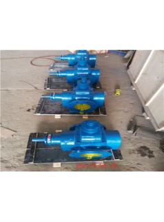 供应江西YCB10-0.6食品级圆弧齿轮泵，沧州源鸿泵业有限公司