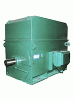 YTM/YHP/YMPS系列6KV磨煤机用电机——泰富西玛电机