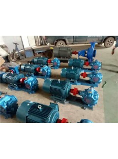 沧州源鸿泵业KCB55不锈钢齿轮泵，优质齿轮泵厂家