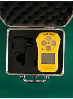 便携式三氯化硼浓度检测仪表 三氯化硼检漏仪