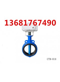 CTB010铸钢蝶阀