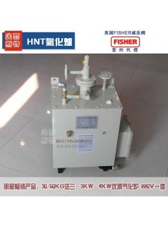 电热式气化器,台湾HNT气化炉,HNT电热式防爆气化器