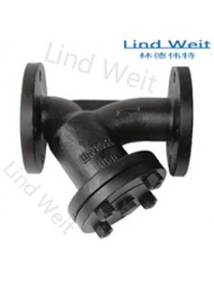 lindweit工厂直销蒸汽系统优质LCSY过滤器