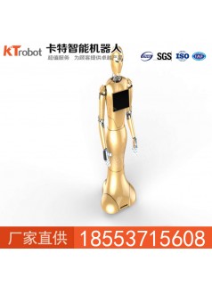 智能人形大金机器人销量   主持机器人   互动机器人