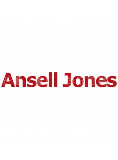 Ansell Jones安思尔气马达换向阀720422-000005