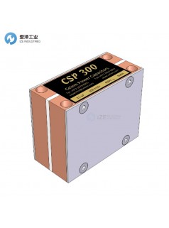 CELEM电容CSP300系列 CSP300 6.3 μF