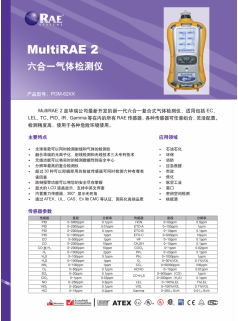 MultiRAE 2 华瑞石油石化用高精度复合式气体检测仪