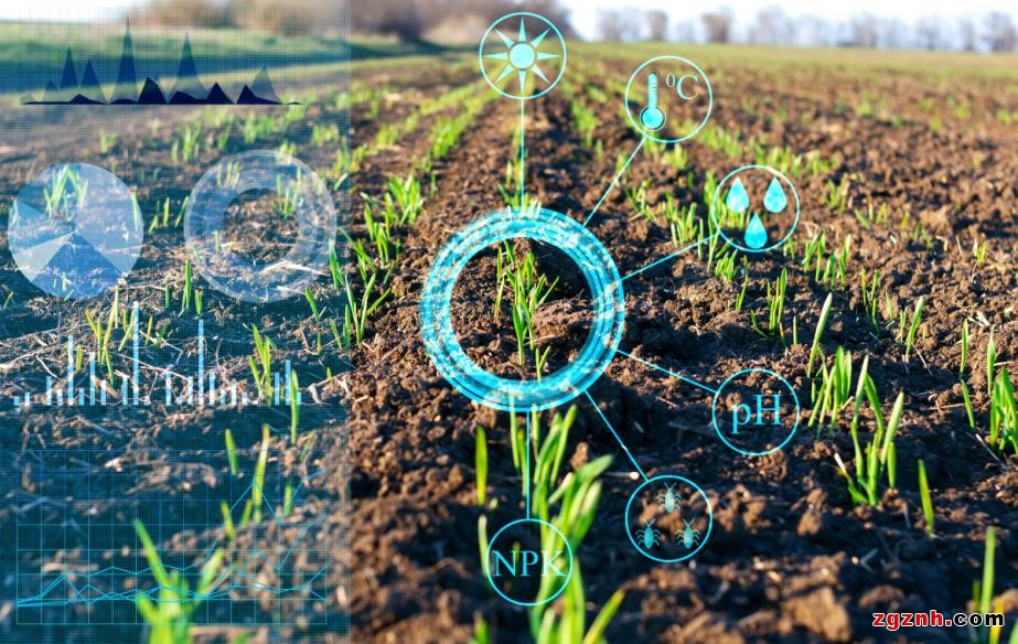 科技让农业绽放“智慧”之花