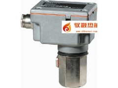 SIEMENS 西门子火焰控制器QRA10.C  QRA10M.C图1