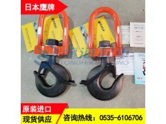 鹰牌绝缘吊钩绝缘等级1MΩ以上,进口绝缘吊钩3吨现货供应图1