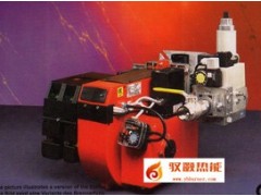 Bentone百通燃气燃烧器BG300M图1