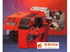 Bentone百通燃气燃烧器BG450-2图1