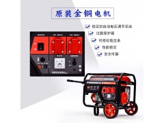 进口3KW汽油发电机YT3600DC-2图3