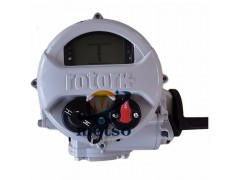 rotork罗托克 IM20MOW5-40角行程电动执行器罗托克图2