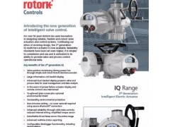 rotork罗托克 IM20MOW5-40角行程电动执行器罗托克图6