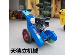 道路清缝机  手推式路面伸缩缝清缝机图2