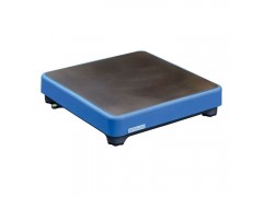GRUPO EPELSA工业秤Plataforma M40-BLUE图1