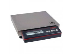 GRUPO EPELSA工业秤Plataforma SMA-4030图1