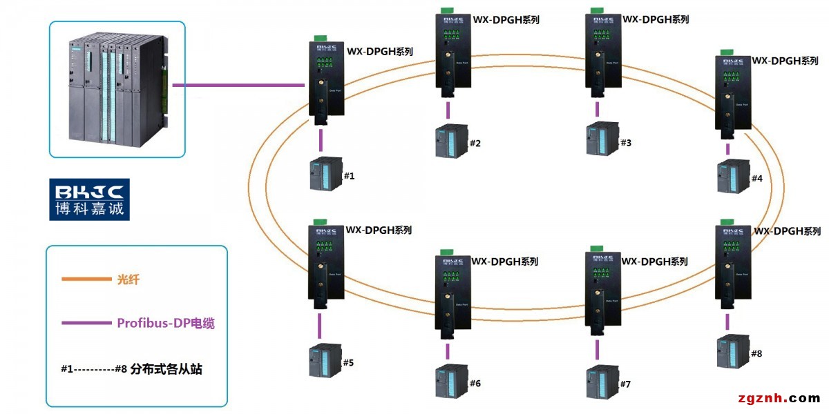 WX-DPGH系列环网应用（协议型）202203