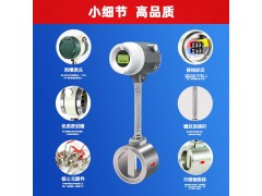 防爆型涡街流量计 涡街流量计dn300生产报价图2