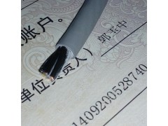 LAPP NSHTOU EFK SERVO CP电缆图4